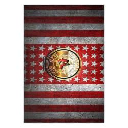mlb boston red sox baseball team logo sport carpet area rug home decor gift brs196