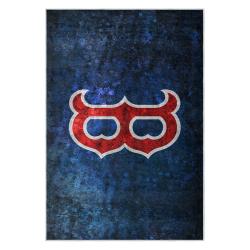 mlb boston red sox baseball team logo sport carpet area rug home decor gift brs228