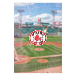 mlb boston red sox baseball team logo sport carpet area rug home decor gift brs240
