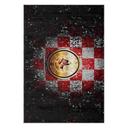 mlb boston red sox baseball team logo sport carpet area rug home decor gift brs251