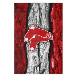 mlb boston red sox baseball team logo sport carpet area rug home decor gift brs260