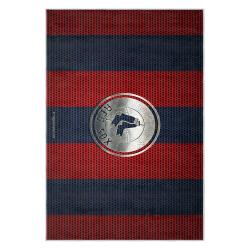 mlb boston red sox baseball team logo sport carpet area rug home decor gift brs264
