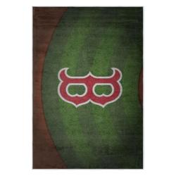 mlb boston red sox baseball team logo sport carpet area rug home decor gift brs268