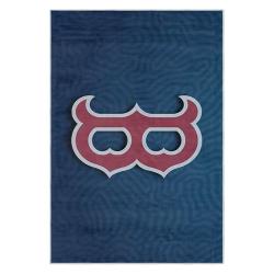 mlb boston red sox baseball team logo sport carpet area rug home decor gift brs272