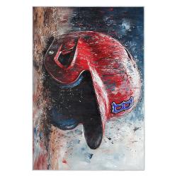 mlb boston red sox baseball team logo sport carpet area rug home decor gift brs95