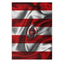 mlb cincinnati reds area rug non slip baseball carpet home decor gift idea for fans cr115