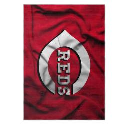 mlb cincinnati reds area rug non slip baseball carpet home decor gift idea for fans cr140