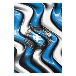 mls charlotte fc soccer team logo sport carpet area rug home decor gift cfc20