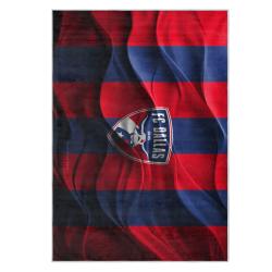 mls fc dallas area rug non slip soccer carpet home decor gift idea for fans fcd101