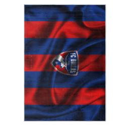 mls fc dallas area rug non slip soccer carpet home decor gift idea for fans fcd39