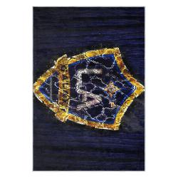 mls los angeles galaxy soccer team logo sport carpet area rug home decor gift lagfc24