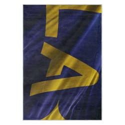 mls los angeles galaxy soccer team logo sport carpet area rug home decor gift lagfc45