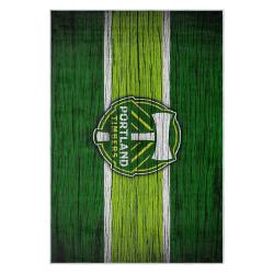 mls portland timbers fc area rug non slip soccer carpet home decor gift idea for fans ptfc85
