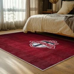 mls toronto fc soccer team logo sport carpet area rug home decor gift idea for fans bedroom tfc92