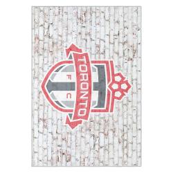 mls toronto fc soccer team logo sport carpet area rug home decor gift idea for fans tfc12