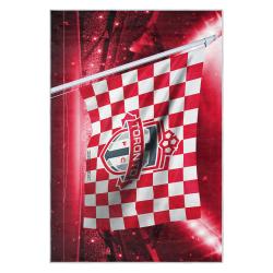 mls toronto fc soccer team logo sport carpet area rug home decor gift idea for fans tfc3
