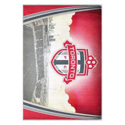 mls toronto fc soccer team logo sport carpet area rug home decor gift idea for fans tfc42