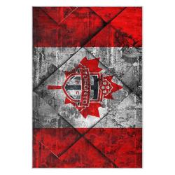 mls toronto fc soccer team logo sport carpet area rug home decor gift idea for fans tfc50