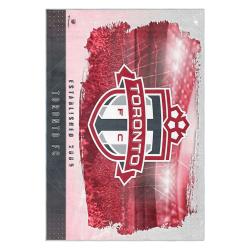 mls toronto fc soccer team logo sport carpet area rug home decor gift idea for fans tfc51