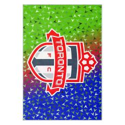 mls toronto fc soccer team logo sport carpet area rug home decor gift idea for fans tfc78