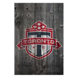 mls toronto fc soccer team logo sport carpet area rug home decor gift idea for fans tfc97