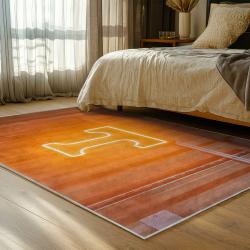 NCAA Tennessee Volunteers College Basketball And Football Team Logo Sport Carpet TV142