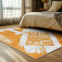 NCAA Tennessee Volunteers College Basketball And Football Team Logo Sport Carpet TV154