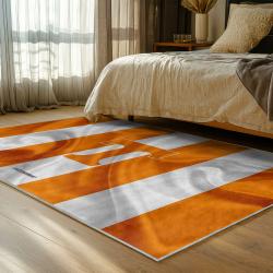 NCAA Tennessee Volunteers College Basketball And Football Team Logo Sport Carpet TV156