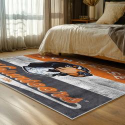 NCAA Tennessee Volunteers College Basketball And Football Team Logo Sport Carpet TV165