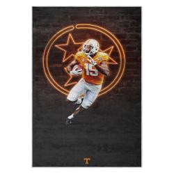 ncaa tennessee volunteers college basketball and football team logo sport carpet tv101
