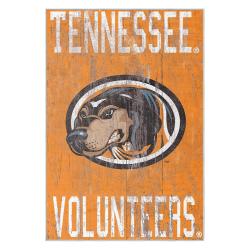 ncaa tennessee volunteers college basketball and football team logo sport carpet tv103