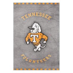 ncaa tennessee volunteers college basketball and football team logo sport carpet tv104