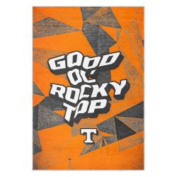 ncaa tennessee volunteers college basketball and football team logo sport carpet tv105