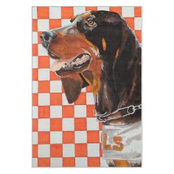 ncaa tennessee volunteers college basketball and football team logo sport carpet tv106