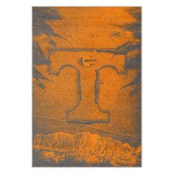 ncaa tennessee volunteers college basketball and football team logo sport carpet tv132