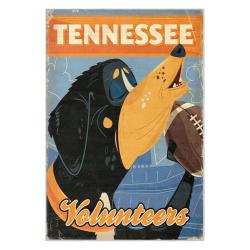ncaa tennessee volunteers college basketball and football team logo sport carpet tv133
