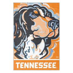 ncaa tennessee volunteers college basketball and football team logo sport carpet tv134