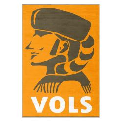 ncaa tennessee volunteers college basketball and football team logo sport carpet tv141