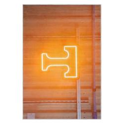 ncaa tennessee volunteers college basketball and football team logo sport carpet tv142