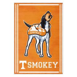 ncaa tennessee volunteers college basketball and football team logo sport carpet tv144