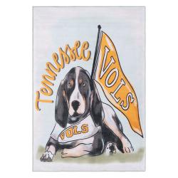 ncaa tennessee volunteers college basketball and football team logo sport carpet tv161