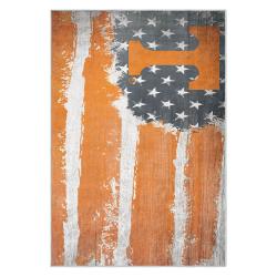 ncaa tennessee volunteers college basketball and football team logo sport carpet tv168