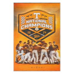 ncaa tennessee volunteers college basketball and football team logo sport carpet tv171