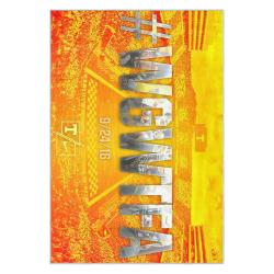 ncaa tennessee volunteers college basketball and football team logo sport carpet tv173