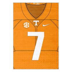 ncaa tennessee volunteers college basketball and football team logo sport carpet tv179