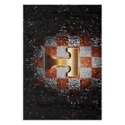 ncaa tennessee volunteers college basketball and football team logo sport carpet tv180