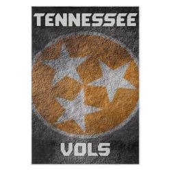 ncaa tennessee volunteers college basketball and football team logo sport carpet tv183