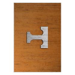 ncaa tennessee volunteers college basketball and football team logo sport carpet tv186
