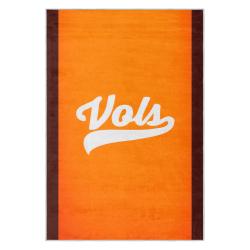 ncaa tennessee volunteers college basketball and football team logo sport carpet tv193