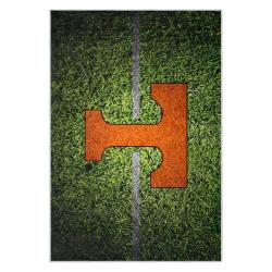 ncaa tennessee volunteers college basketball and football team logo sport carpet tv195